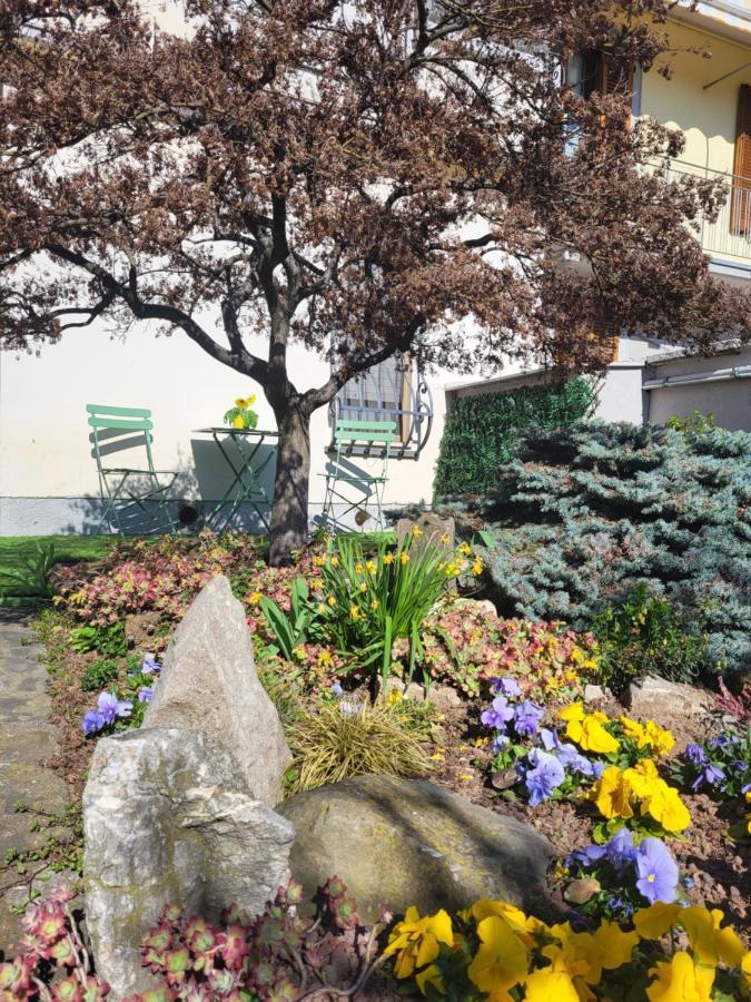 Da Romy Holiday House Mozzo Bagian luar foto